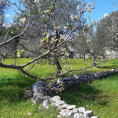 Holiday home Casa Alle Vigne Polignano a Mare