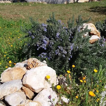 Casa Alle Vigne * Polignano a Mare