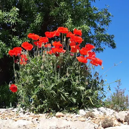 Σπίτι διακοπών Casa Alle Vigne *