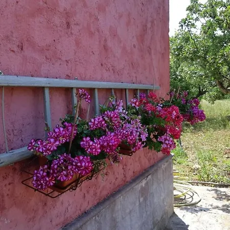 Holiday home Casa Alle Vigne